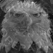 menefr3go